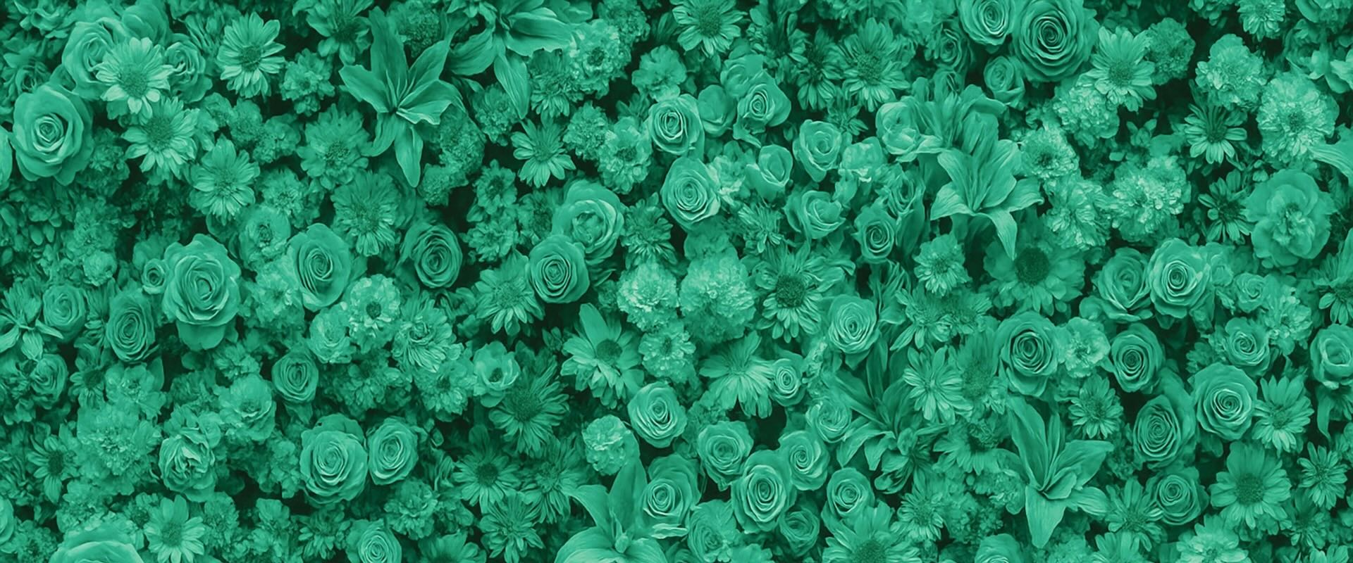 L'atout qui protège mon bien-être !