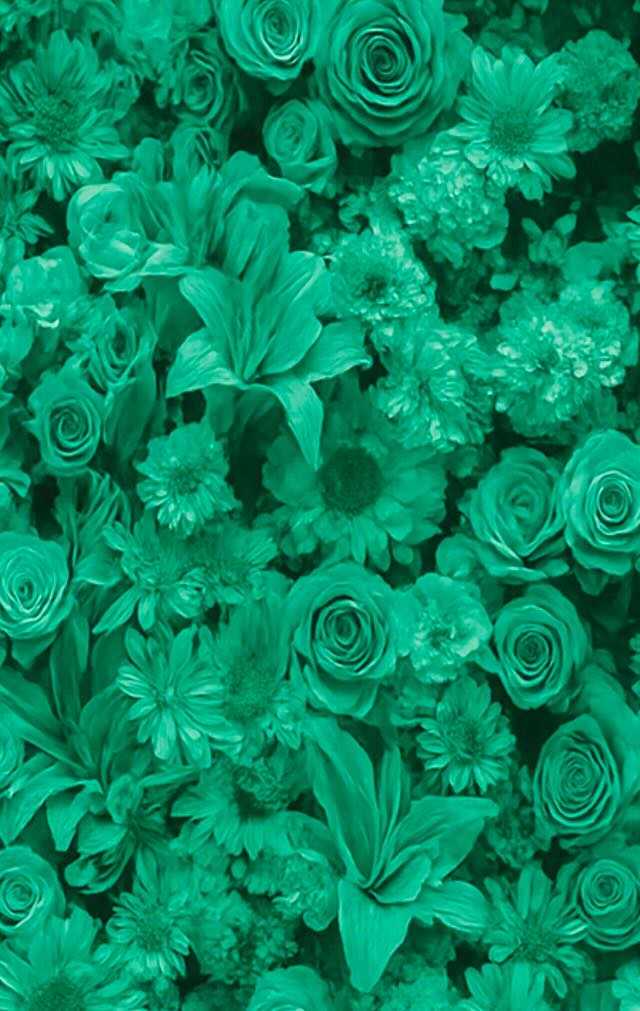 L'atout qui protège mon bien-être !